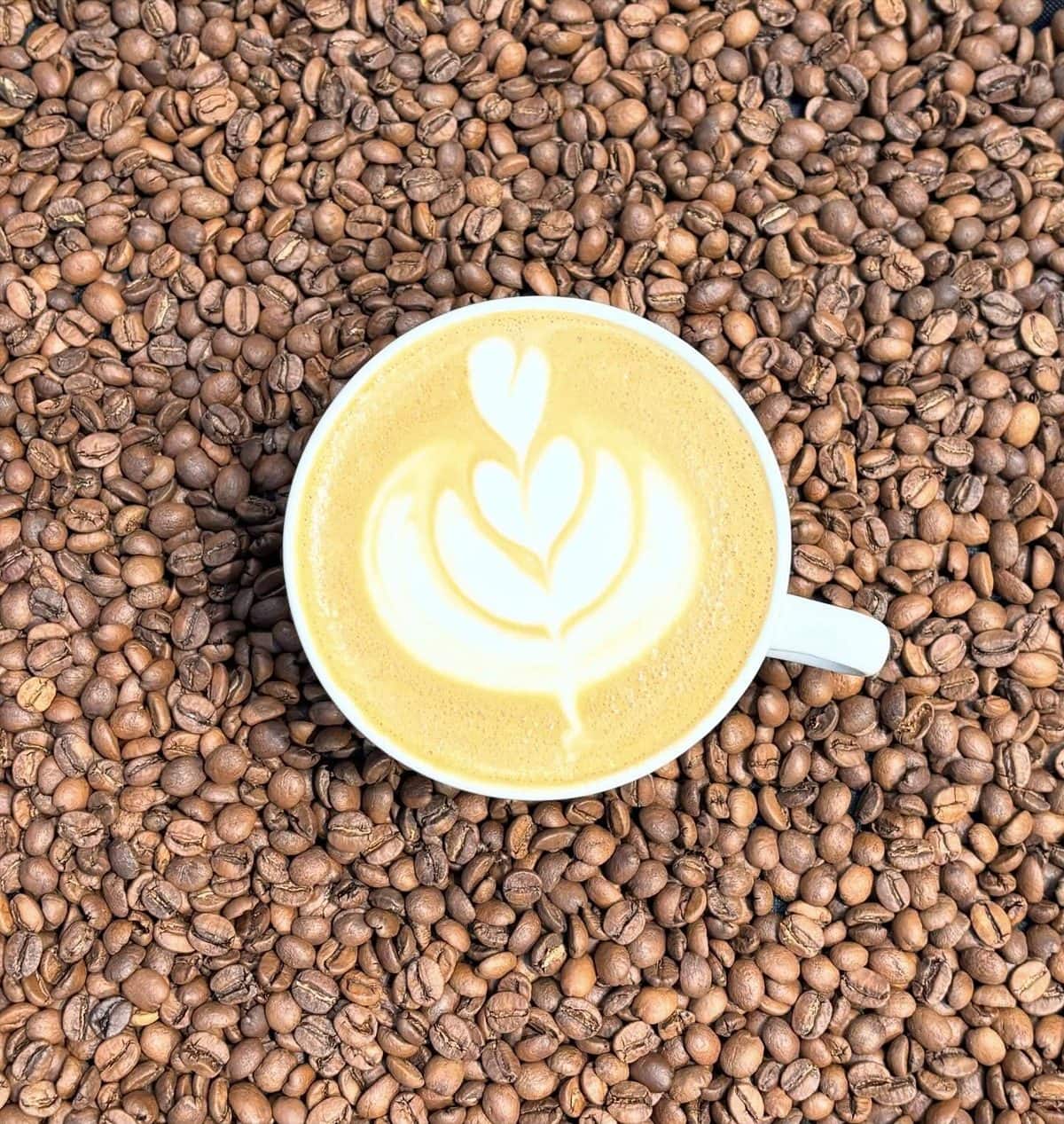 Nybryggd latte från kaffebaren på Togogo Centralen